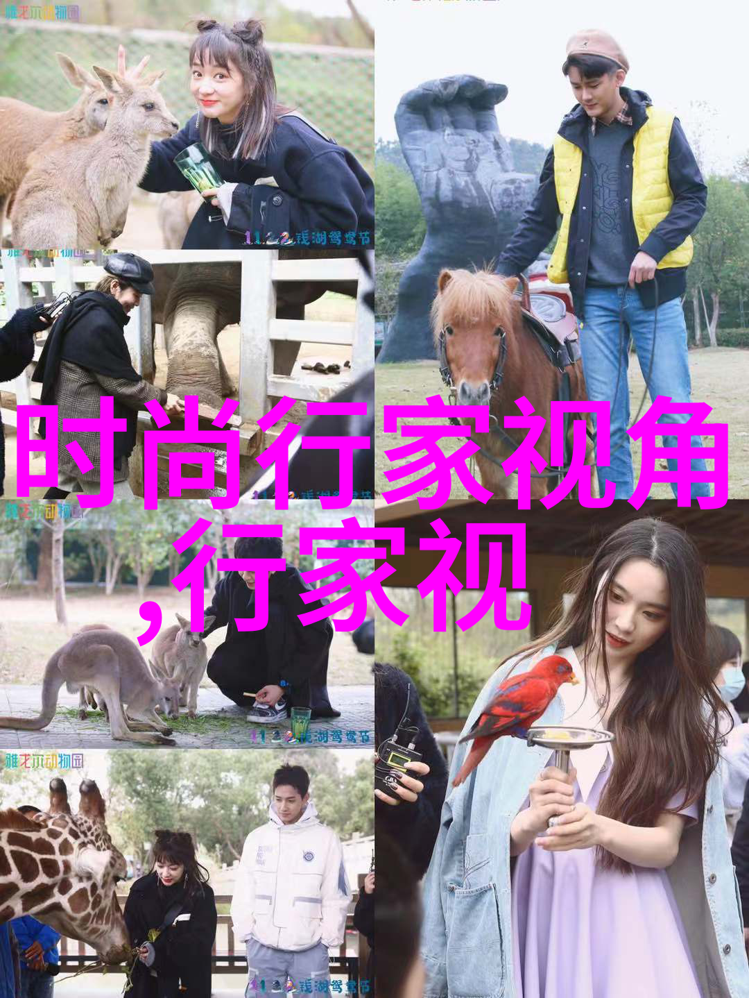 时尚大头贴(好看大头贴)