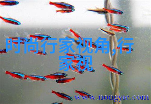 精美微信头像时尚(精美图片微信)