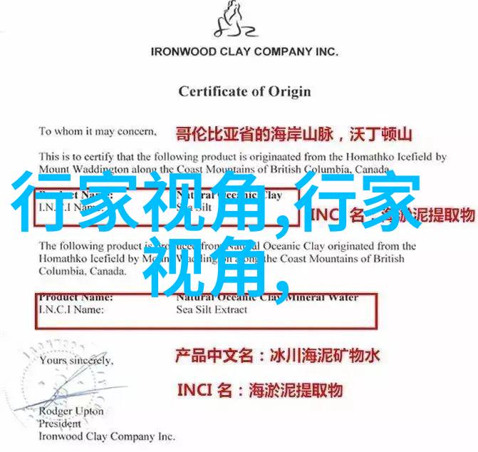 时尚短假发(女士短假发)