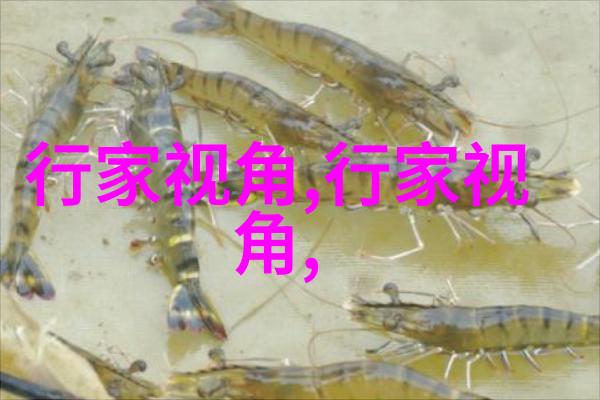 流行歌曲音乐达人(音乐达人app)