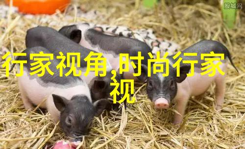 请问红色卫衣怎么搭配包包
